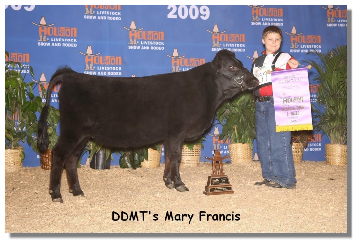 DDMTsMaryFrancis DDMTsMaryFrancis